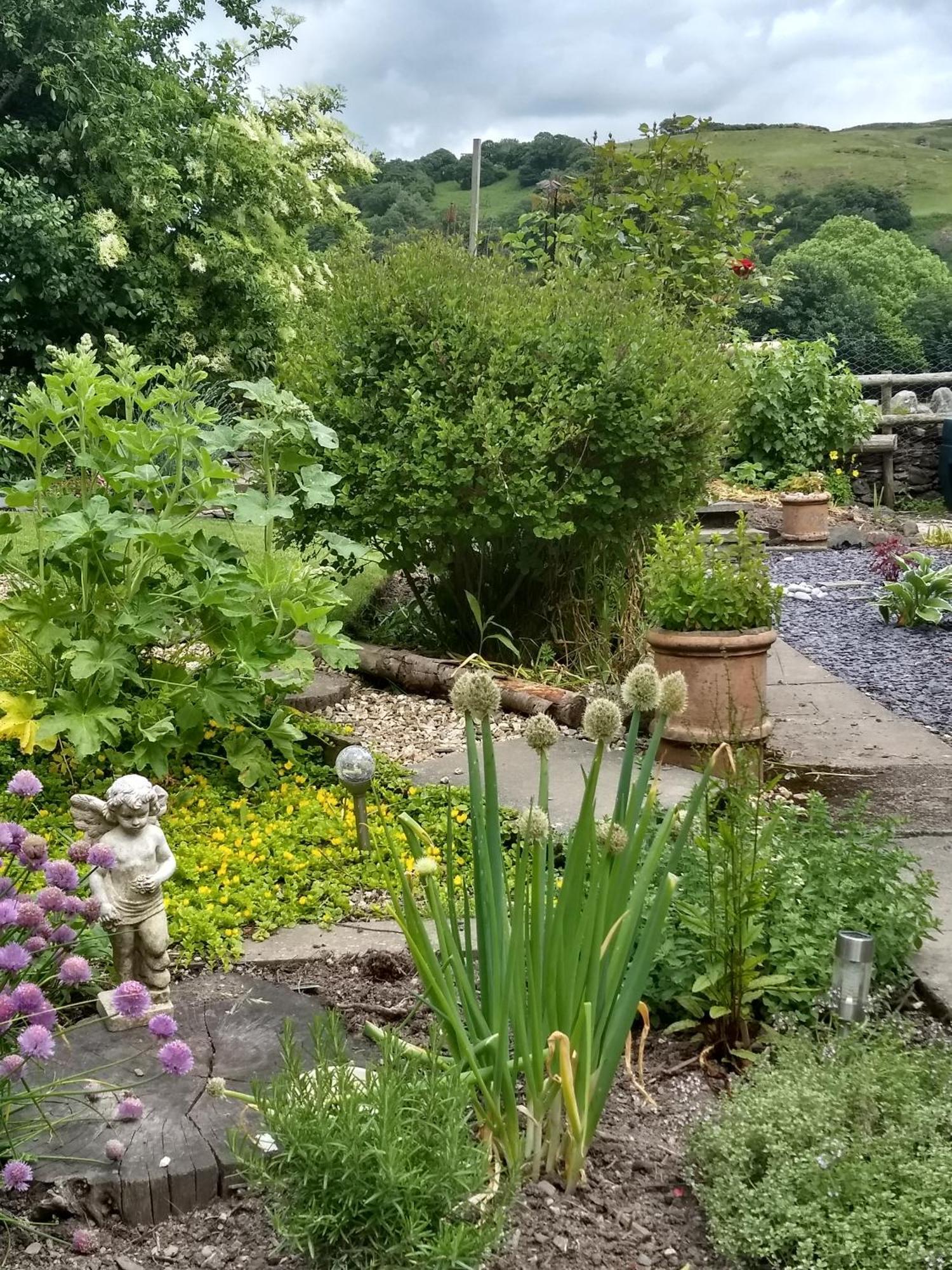 Pentre Isaf Bed and Breakfast Conwy Buitenkant foto